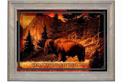Buffalo art yellowstone - buffalo,