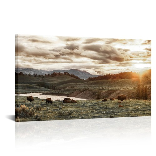 Rnnjoile buffalo canvas wall - canvas,